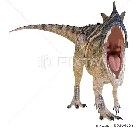 ケラトサウルス☆Ceratosaurus 90304658