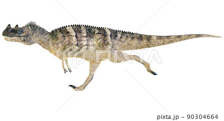 ケラトサウルス☆Ceratosaurus ケラトサウルス☆Ceratosaurus 90304664