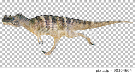 ケラトサウルス☆Ceratosaurus ケラトサウルス☆Ceratosaurus 90304664