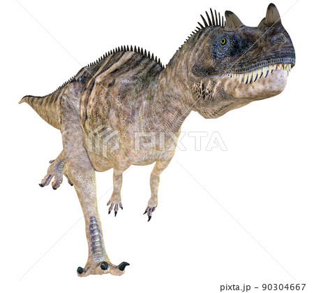 ケラトサウルス☆Ceratosaurus 90304667