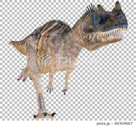 ケラトサウルス☆Ceratosaurus 90304667