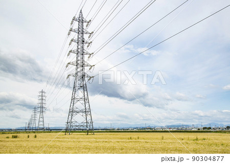 鉄塔　麦畑　送電線 90304877