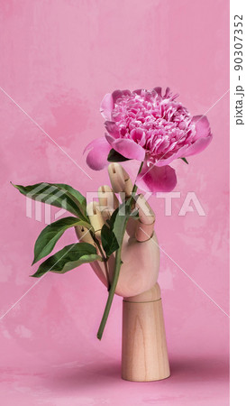 Peony flower in wooden hand on pink background 90307352