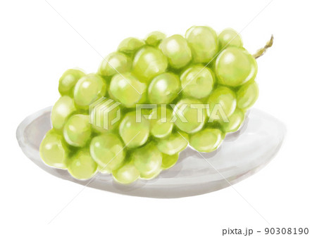 手描きのマスカット01_2 90308190