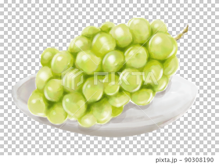 手描きのマスカット01_2 90308190