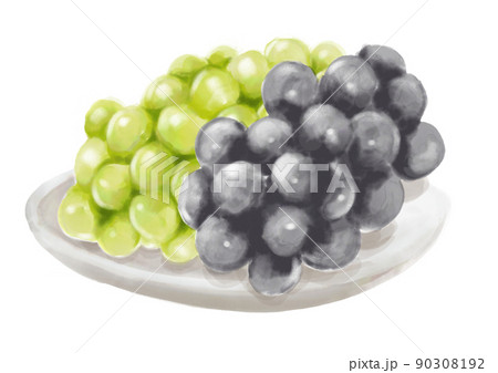 手描きのマスカットとブドウ01_2 90308192
