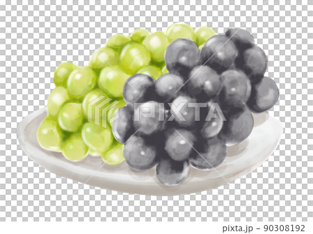 手描きのマスカットとブドウ01_2 90308192