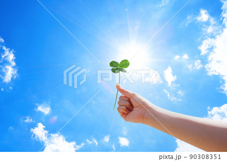 青空に掲げる四つ葉クローバー 90308351