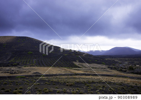 The Wine Valley of La Geria - Lanzarote, Spain 90308989