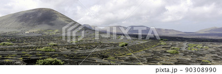 The Wine Valley of La Geria - Lanzarote, Spain The Wine Valley of La Geria - Lanzarote, Spain 90308990