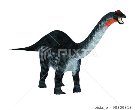 ブロントサウルス☆アパトサウルス☆Apatosaurus ブロントサウルス☆アパトサウルス☆Apatosaurus 90309318