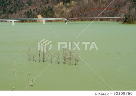 春のシューパロ湖の風景 90309760