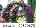 公園のフラワーアーチ 90309875