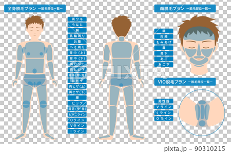 男性脫髮點列表全身、面部和VIO 90310215