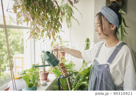 観葉植物 女性 観葉植物 女性 90310921