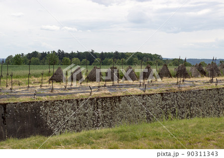 Reinforced concrete anti-tank barrier 90311343