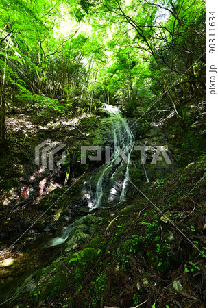 由良ヶ岳より 由良ヶ岳より 90311634
