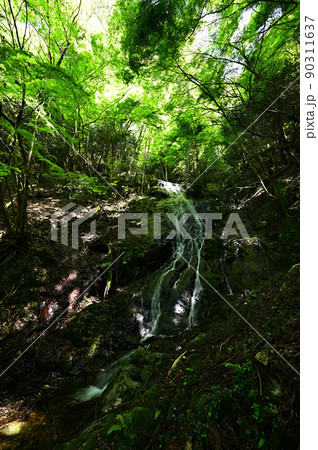 由良ヶ岳より 由良ヶ岳より 90311637