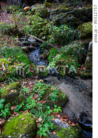 神代の鬼の穴　鬼清水から流れる清流 90312757