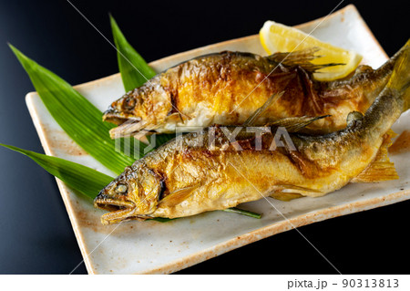 鮎の塩焼き イメージ 鮎の塩焼き イメージ 90313813