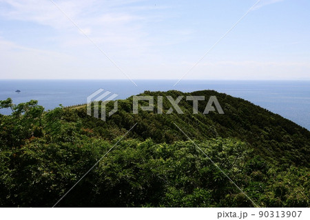 高茂岬 愛媛県南宇和郡愛南町 高茂岬 愛媛県南宇和郡愛南町 90313907