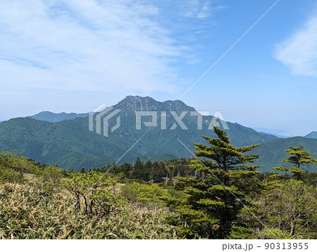 瓶ヶ森からの石鎚山1 瓶ヶ森からの石鎚山1 90313955