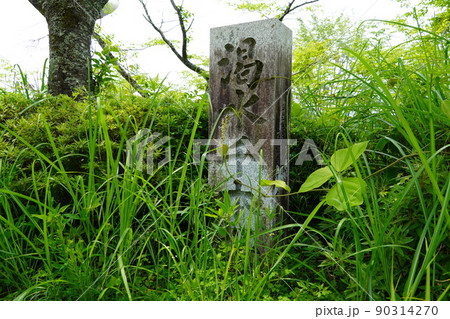 渇水千本桜・早明浦ダム 90314270