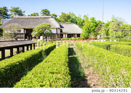 緑と青空の広がる和風庭園 90314291