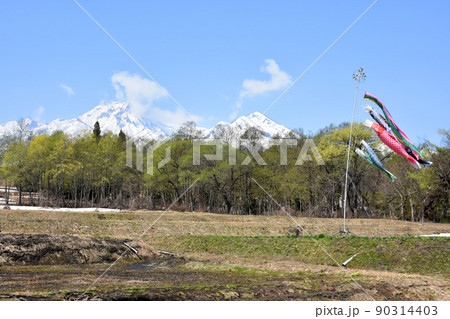 【新潟県妙高市】妙高山と鯉のぼり 90314403