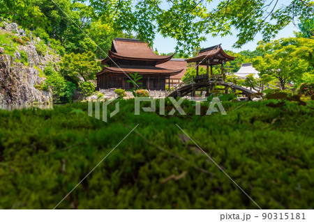 新緑の虎渓山永保寺〈岐阜県多治見市〉 90315181