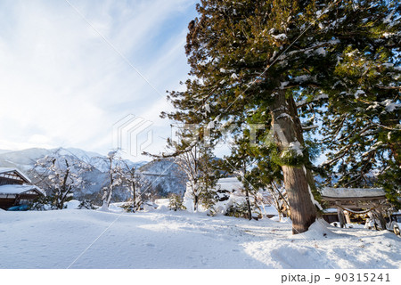 【白川郷】雪景色の白川八幡神社 90315241