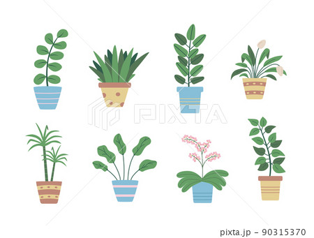 Potted flowers, vector illustration set doodle icons, ficus, dracaena, orchid Potted flowers, vector illustration set doodle icons, ficus, dracaena, orchid 90315370