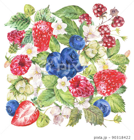 Watercolor summer berries greeting card. Fruits, strawberries, blueberiies isolated on white background. Hand-drawn botanical illustration. 90318422