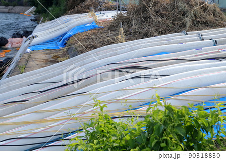 仮設されたくみ上げ用ホース（明治用水頭首工、漏水問題　愛知県 豊田市） 90318830