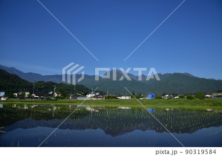 北杜市白州町、田植えの済んだ水田に映る南アルプス甲斐駒ケ岳 90319584