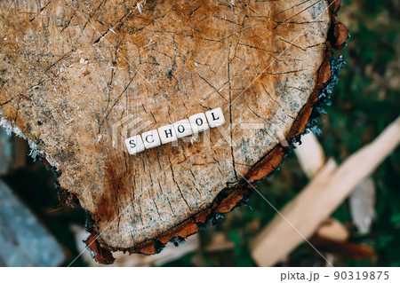 Word school of wooden alphabet beads on a tree stump surface in the forest. 90319875