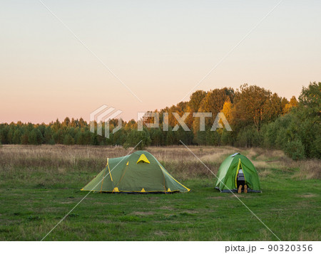 Two green touristic tents stand in camp near pine tree forest. Hiking in Russia. 90320356