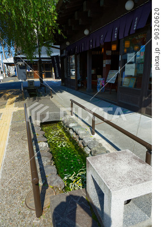 小田原市　小田原宿なりわい交流館前の小川 90320620
