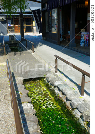 小田原市 小田原宿なりわい交流館前の小川 小田原市 小田原宿なりわい交流館前の小川 90320621