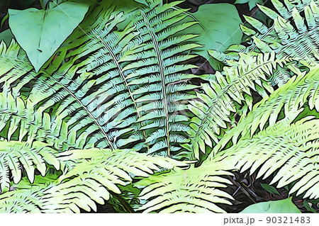 パステル調　”クサソテツ”　イラストイメージ 90321483