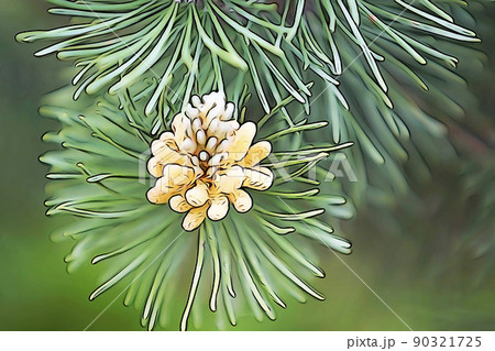 パステル調 ”松の木 松の花” イラストイメージ パステル調 ”松の木 松の花” イラストイメージ 90321725
