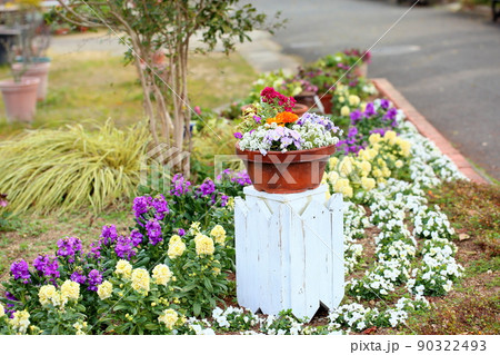 鉢植えの花 90322493