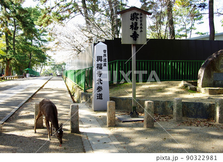 興福寺の北参道の入口 興福寺の北参道の入口 90322981