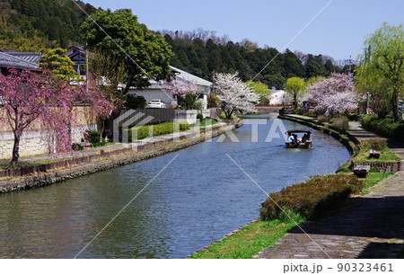 近江八幡市の八幡掘りの屋形舟遊覧の風景 90323461