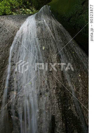 大分県由布川峡谷、六月初夏の新緑風景-22 大分県由布川峡谷、六月初夏の新緑風景-22 90323877