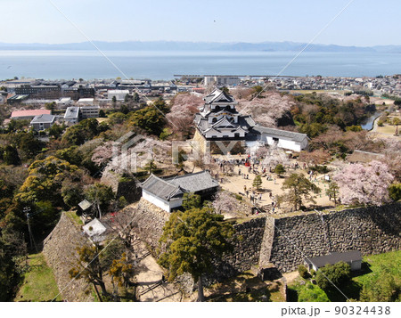 満開の桜に囲まれた彦根城の望遠空撮 満開の桜に囲まれた彦根城の望遠空撮 90324438