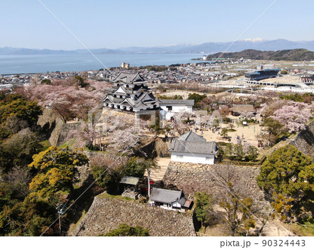 満開の桜に囲まれた彦根城の望遠空撮 満開の桜に囲まれた彦根城の望遠空撮 90324443