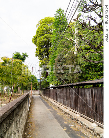 武蔵野の原風景 国分寺の趣のある街並み 武蔵野の原風景 国分寺の趣のある街並み 90324564