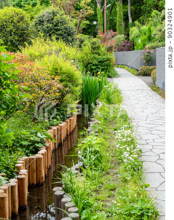 初夏の緑豊かなお鷹の道・真姿の池湧水群の景色 90324901