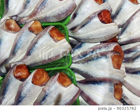 ヒラメ 魚 カレイ 90325762